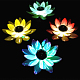 photo-2934003