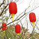 photo-2934143