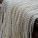 photo-2970332