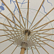 photo-2976750